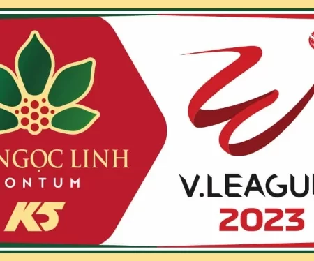 Nhìn V-League 2023/24 và những điều mới mẻ để nâng hạng