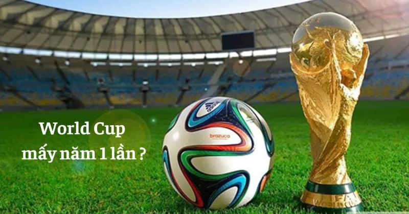 Tổ chức world cup mấy năm 1 lần là hợp lý nhất?